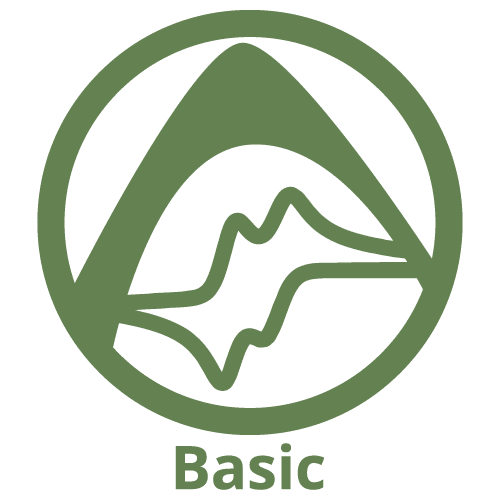Basic License software purchase options